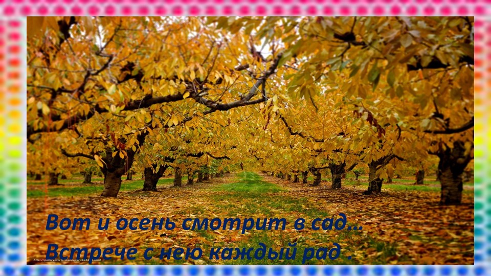 Презентация "Витаминная семья" средний дошкольный возраст