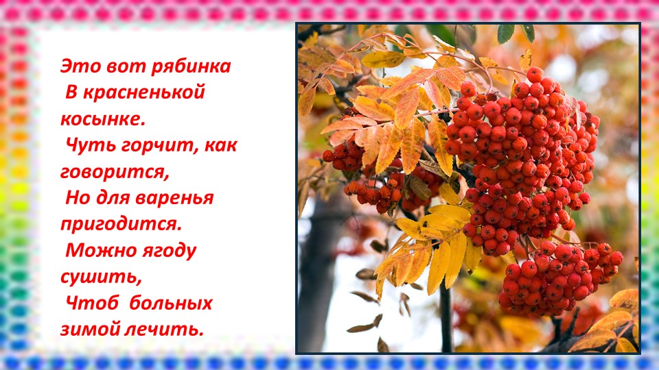 Презентация "Витаминная семья" средний дошкольный возраст
