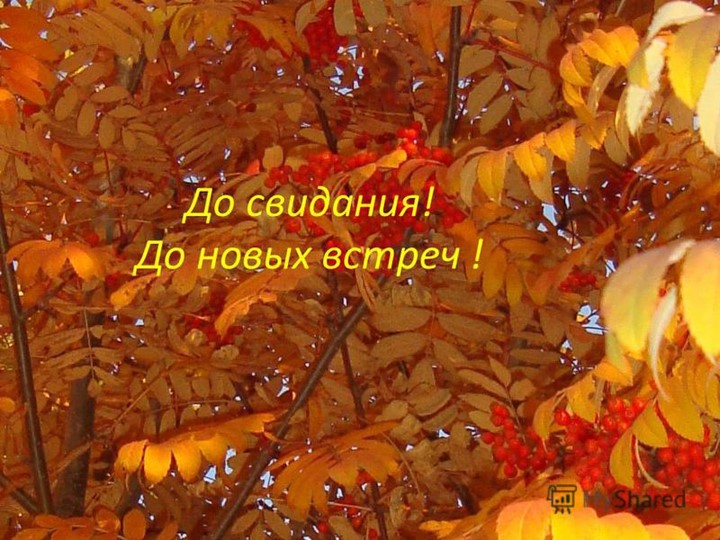 "Осень золотая в гости к нам пришла"