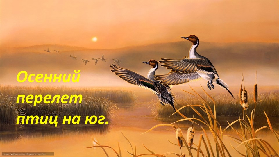 Презентация "Осень" старший дошкольный возраст