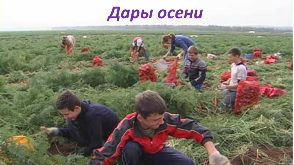 Презентация "Осень" старший дошкольный возраст