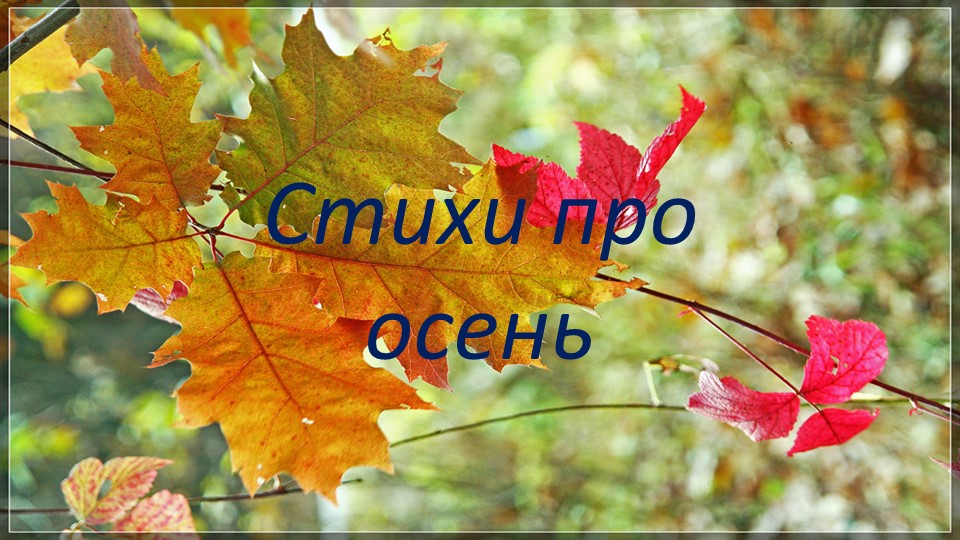 Презентация "Осень" старший дошкольный возраст