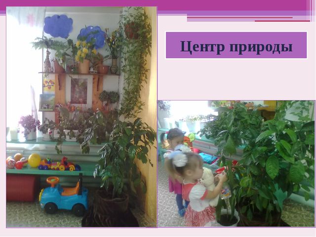 Предметно развивающая среда в ДОУ. Презентация
