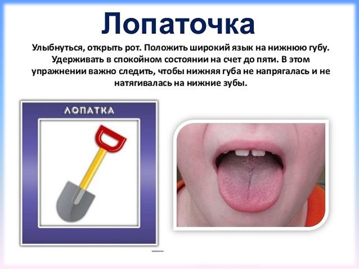 Презентация. Индивидуальное логопедическое занятие. Постановка звука Ш. Занятие №2