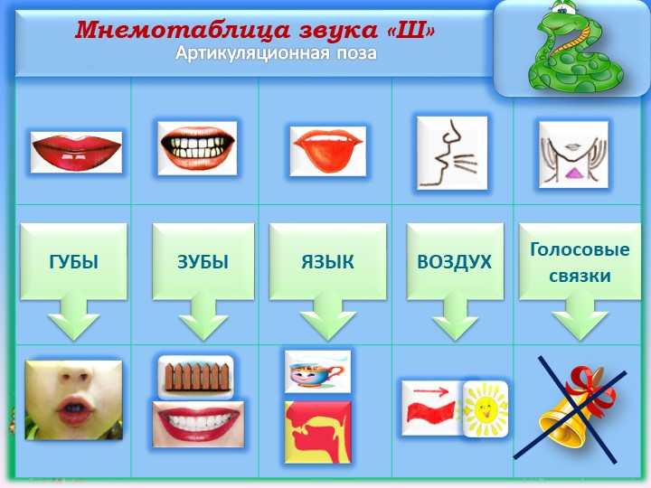 Презентация. Индивидуальное логопедическое занятие. Постановка звука Ш. Занятие №2