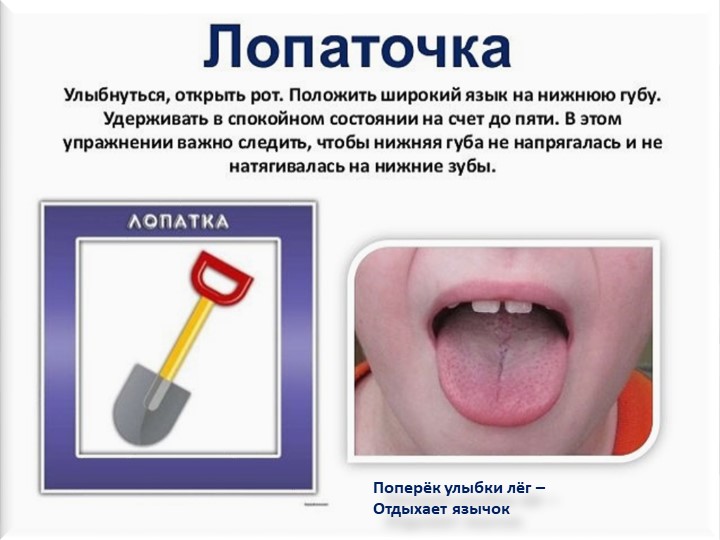 Презентация. Индивидуальное логопедическое занятие. Постановка звука Ш.