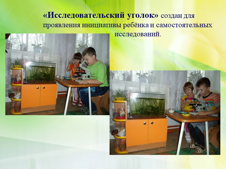 Формирование экологической культуры старших дошкольников через проектно – исследовательскую деятельность