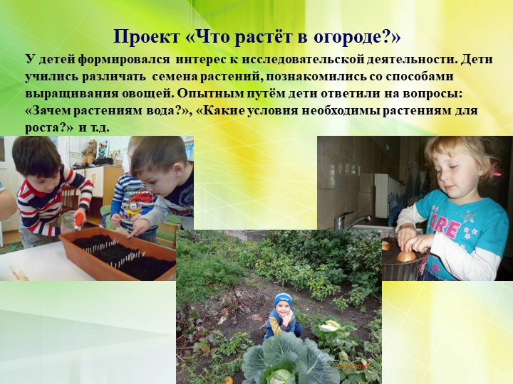 Формирование экологической культуры старших дошкольников через проектно – исследовательскую деятельность