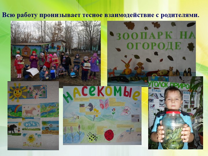 Формирование экологической культуры старших дошкольников через проектно – исследовательскую деятельность
