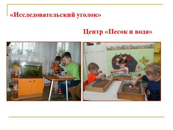 Формирование экологической культуры старших дошкольников через проектно – исследовательскую деятельность