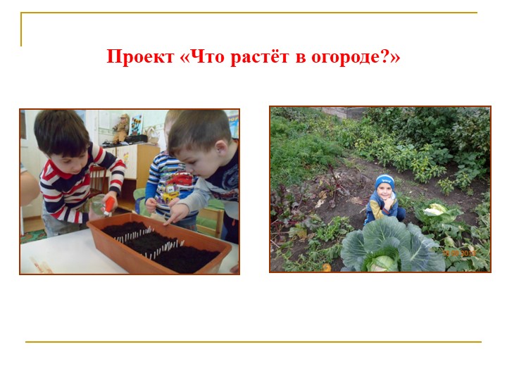 Формирование экологической культуры старших дошкольников через проектно – исследовательскую деятельность