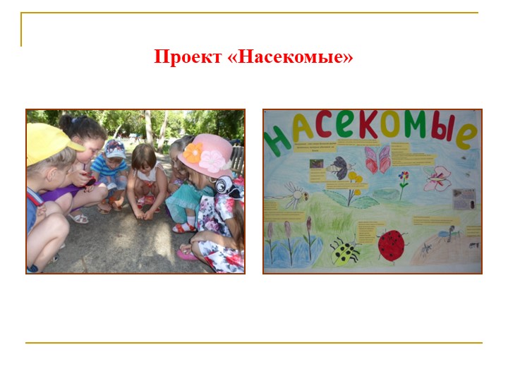 Формирование экологической культуры старших дошкольников через проектно – исследовательскую деятельность