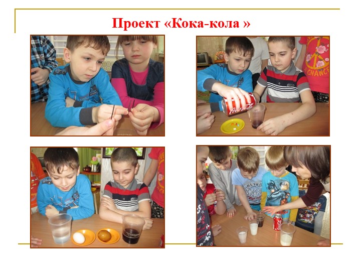 Формирование экологической культуры старших дошкольников через проектно – исследовательскую деятельность
