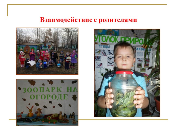 Формирование экологической культуры старших дошкольников через проектно – исследовательскую деятельность