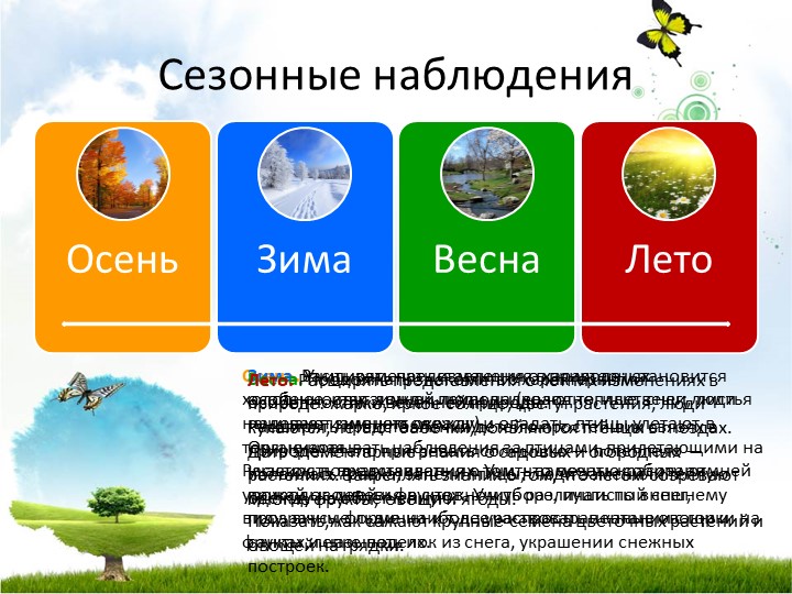 Презентация для воспитателей "Задачи экологического воспитания дошкольников (программа "От рождения до школы")".