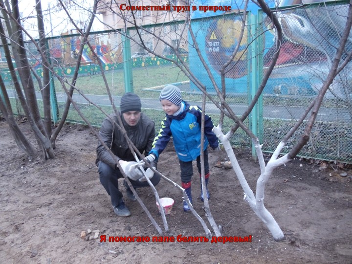 Презентация проекта "Трудовое воспитание дошкольника в семье".