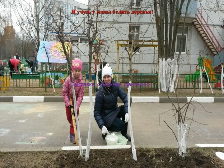 Презентация проекта "Трудовое воспитание дошкольника в семье".