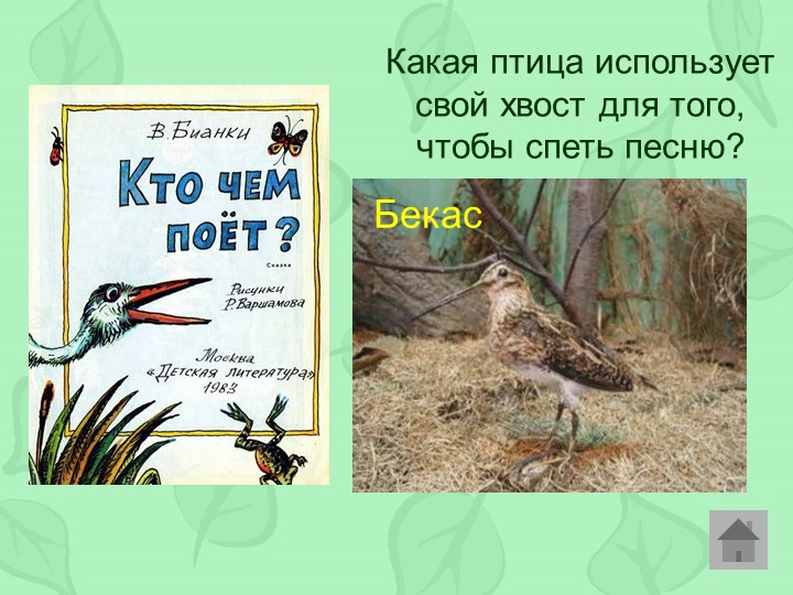 Викторина по произведениям Виталия Бианки