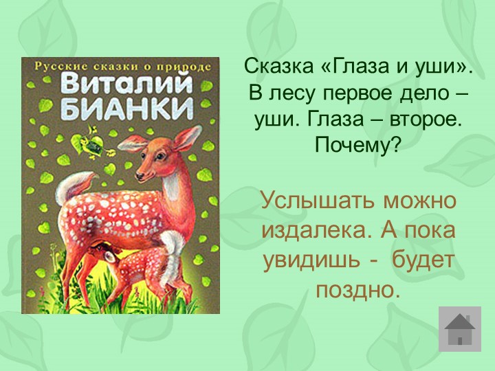 Викторина по произведениям Виталия Бианки