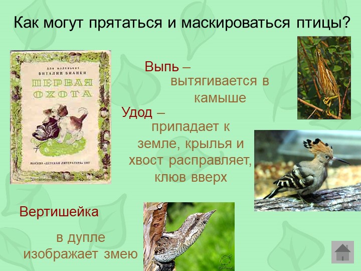 Викторина по произведениям Виталия Бианки