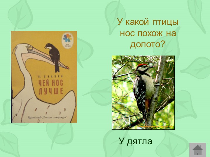 Викторина по произведениям Виталия Бианки