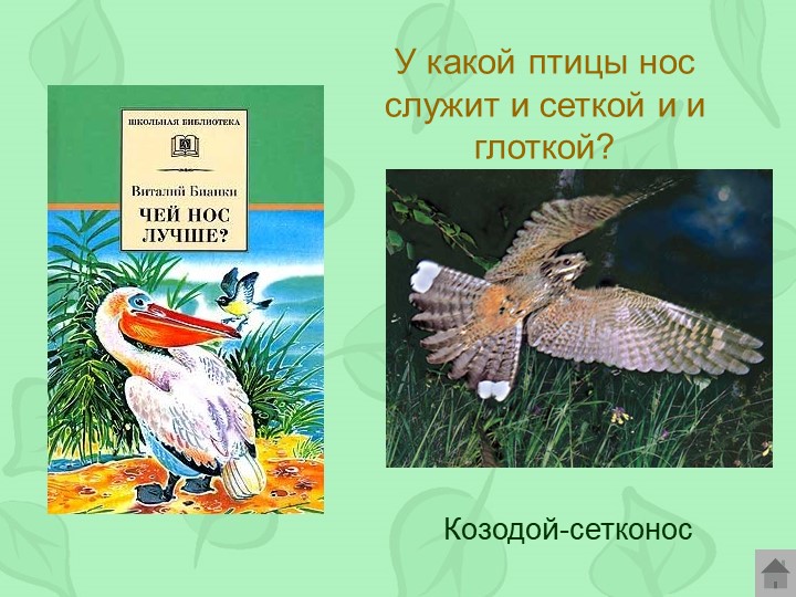 Викторина по произведениям Виталия Бианки