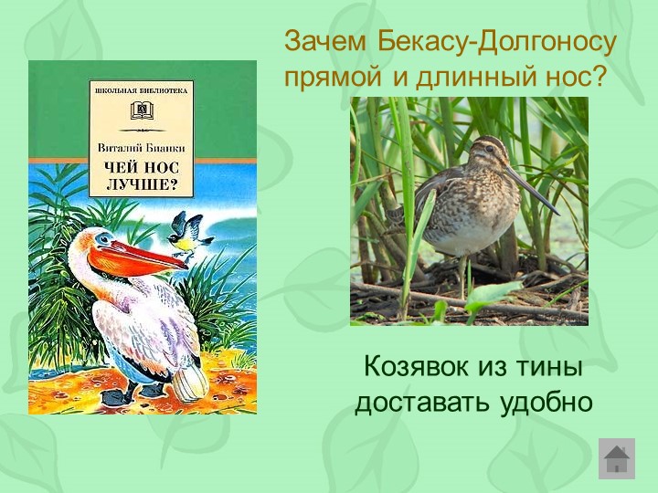 Викторина по произведениям Виталия Бианки