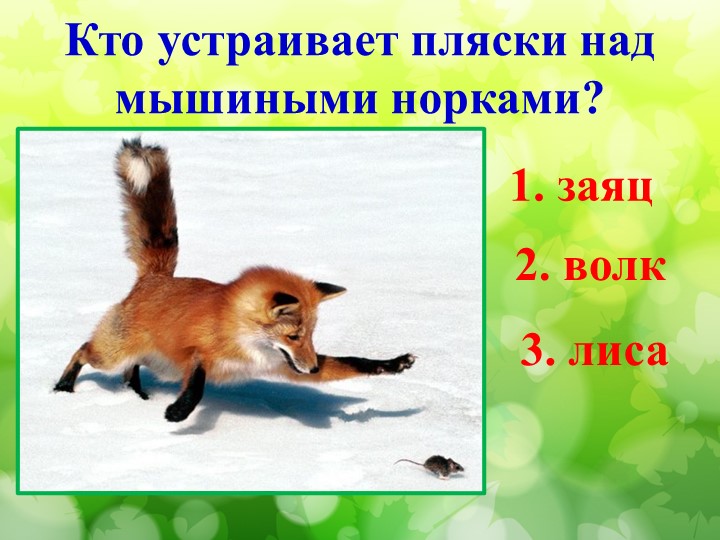 Литературная викторина по произведениям Н.И. Сладкова