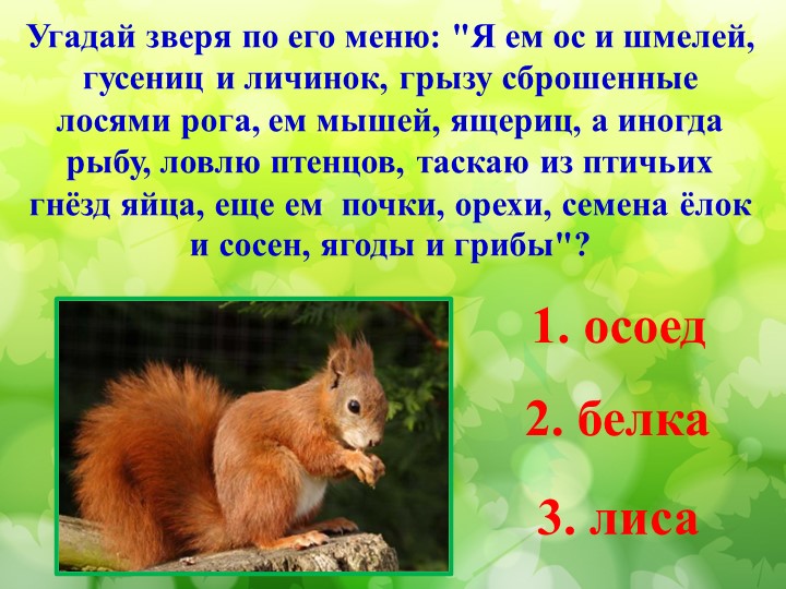 Литературная викторина по произведениям Н.И. Сладкова
