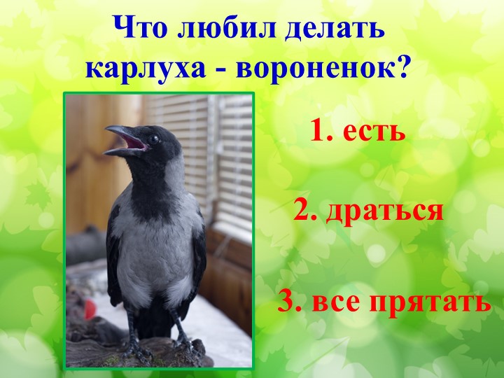 Литературная викторина по произведениям Н.И. Сладкова