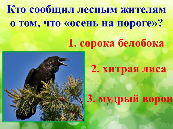 Литературная викторина по произведениям Н.И. Сладкова