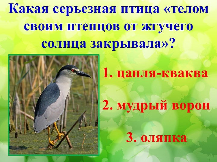 Литературная викторина по произведениям Н.И. Сладкова