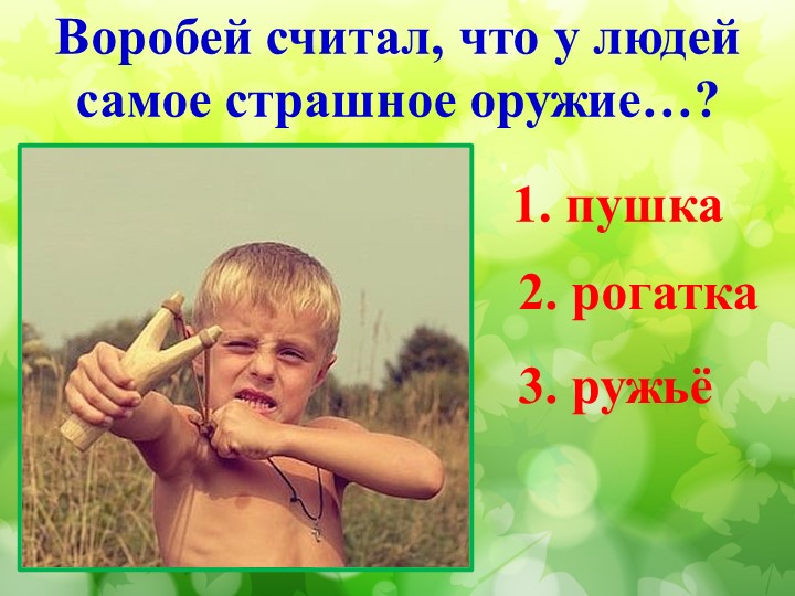 Литературная викторина по произведениям Н.И. Сладкова