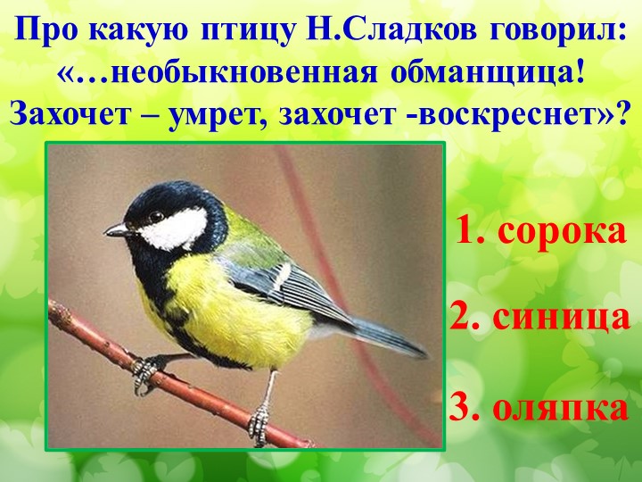 Литературная викторина по произведениям Н.И. Сладкова