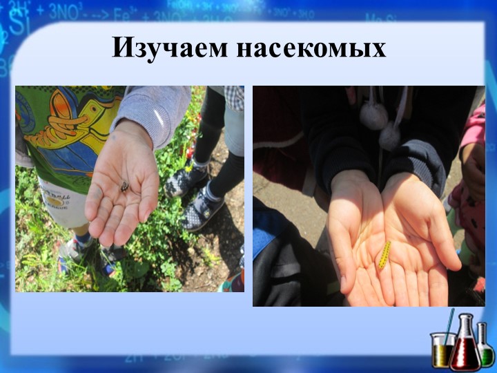 Презентация опыта работы на тему: «Экспериментальная деятельность с воспитанниками в детском саду»