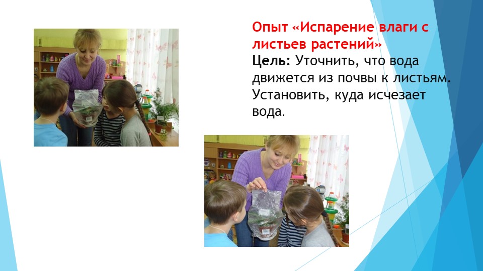 Презентация проекта "Познавательно-исследовательская деятельность" в подготовительной к школе группе