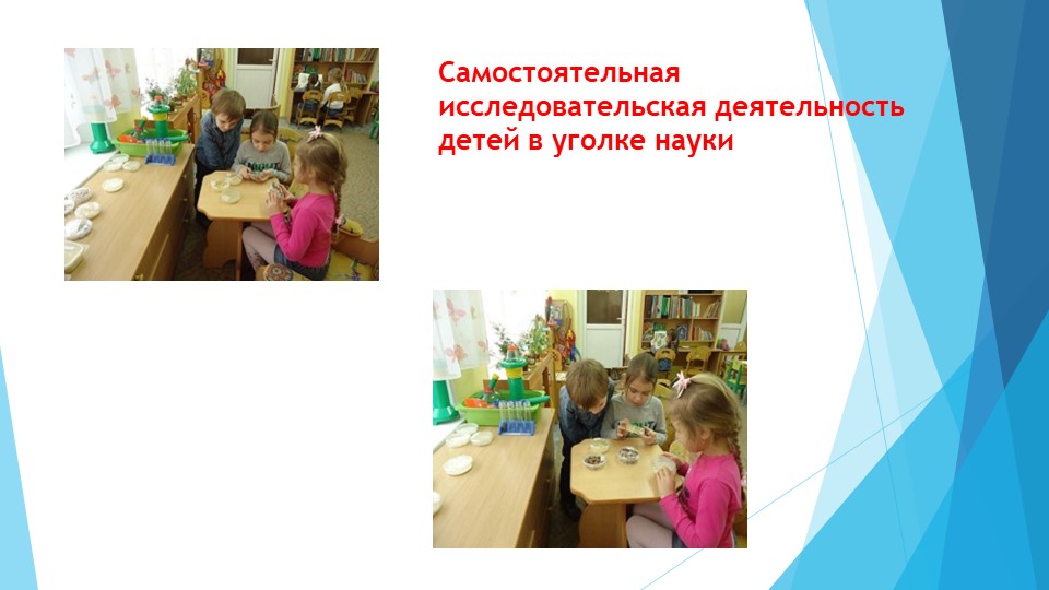 Презентация проекта "Познавательно-исследовательская деятельность" в подготовительной к школе группе