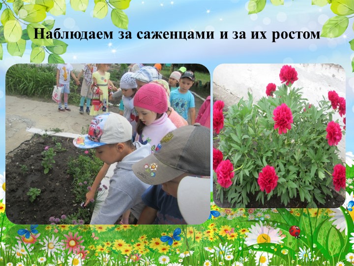 Презентация опыта работы на тему: «Особенности организации работы с дошкольниками в летний период»