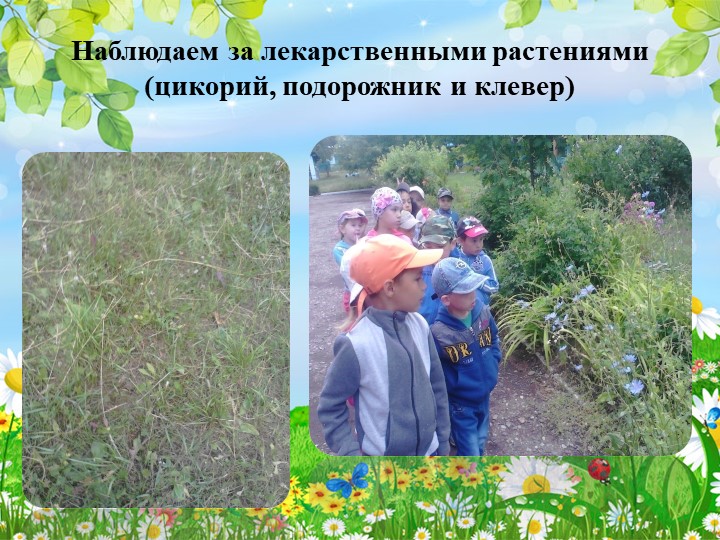 Презентация опыта работы на тему: «Особенности организации работы с дошкольниками в летний период»