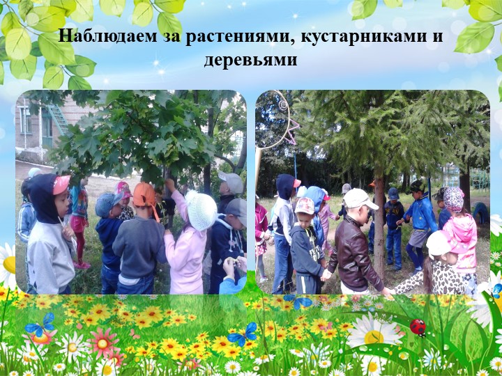 Презентация опыта работы на тему: «Особенности организации работы с дошкольниками в летний период»