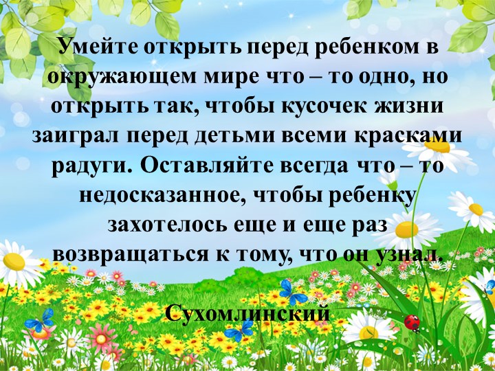 Презентация опыта работы на тему: «Особенности организации работы с дошкольниками в летний период»