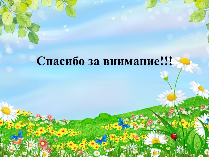 Презентация опыта работы на тему: «Особенности организации работы с дошкольниками в летний период»