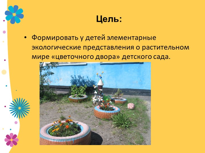 Презентация по экологии "В садике садочке - расцвели цветочки" младшая группа