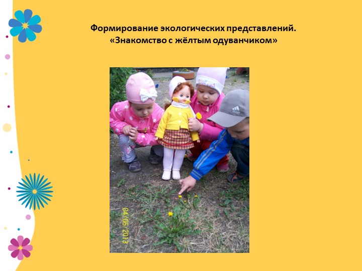 Презентация по экологии "В садике садочке - расцвели цветочки" младшая группа