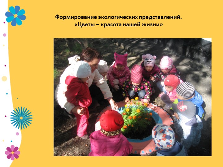 Презентация по экологии "В садике садочке - расцвели цветочки" младшая группа
