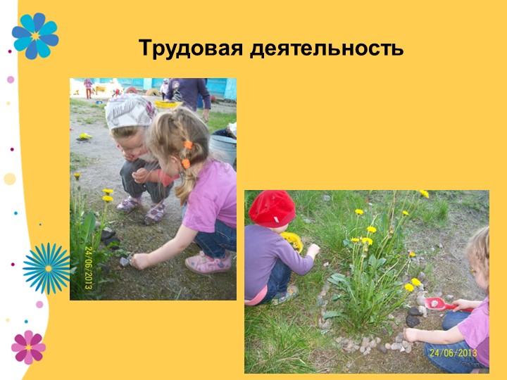 Презентация по экологии "В садике садочке - расцвели цветочки" младшая группа
