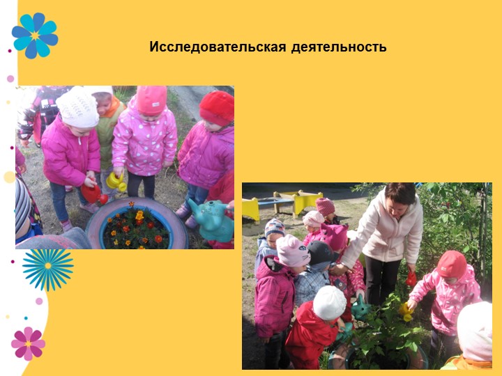 Презентация по экологии "В садике садочке - расцвели цветочки" младшая группа