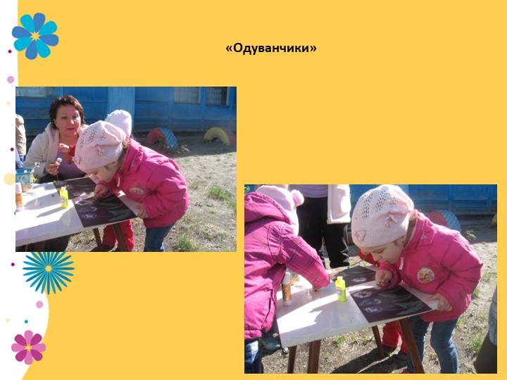 Презентация по экологии "В садике садочке - расцвели цветочки" младшая группа