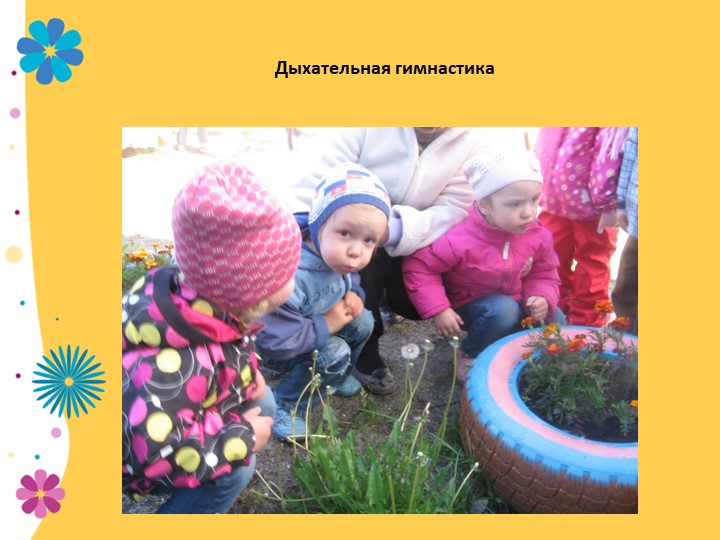 Презентация по экологии "В садике садочке - расцвели цветочки" младшая группа