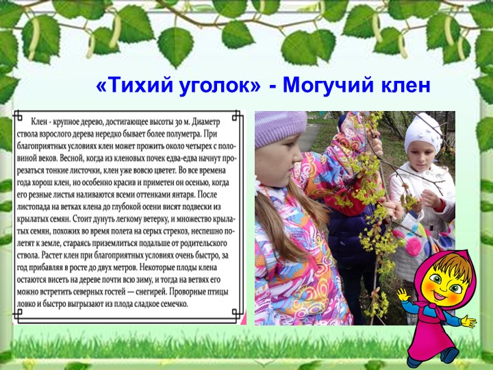 Презентация - Экологическая тропа МДОУ "Детский сад №79"